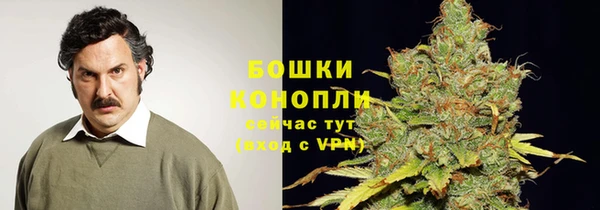 прущий лед Абаза