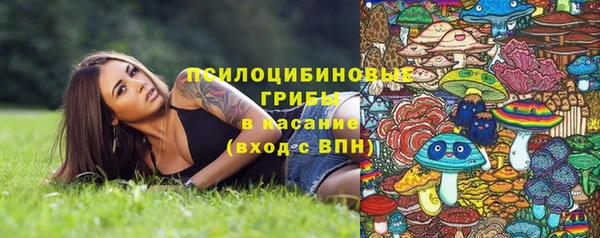 гашик Абинск