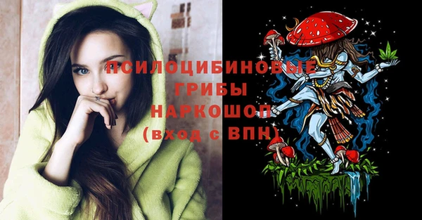 гашик Абинск